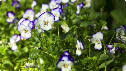 shutterstock_574133131