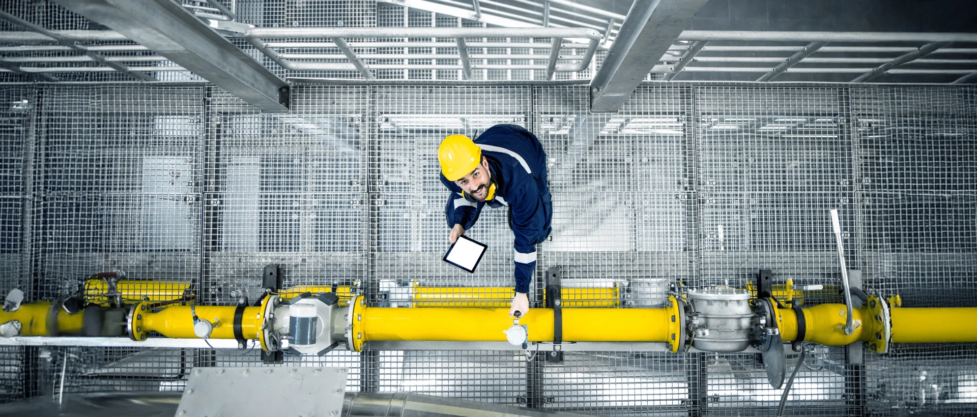 shutterstock_2193307897_bearb