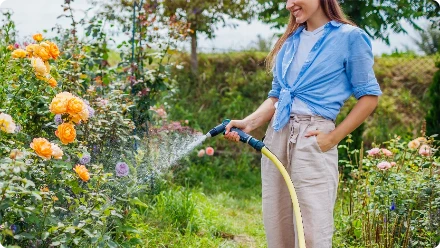 shutterstock_2581142903